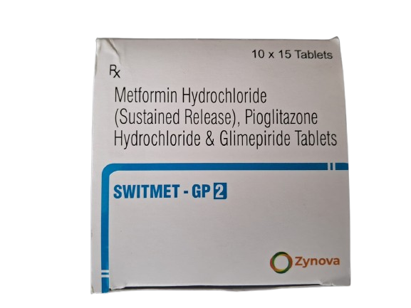 Switmet GP 2